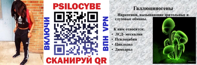 как найти наркотики  сайты даркнета состав  Псилоцибиновые грибы мицелий  Тюкалинск 